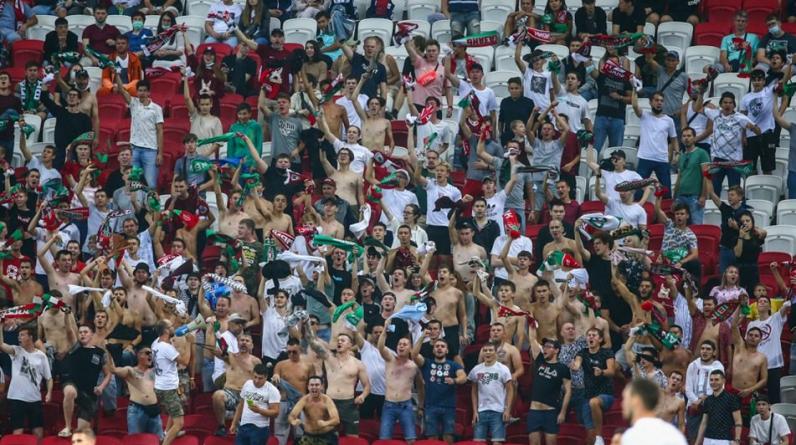 Совет Федерации окончательно одобрил закон о введении Fan ID