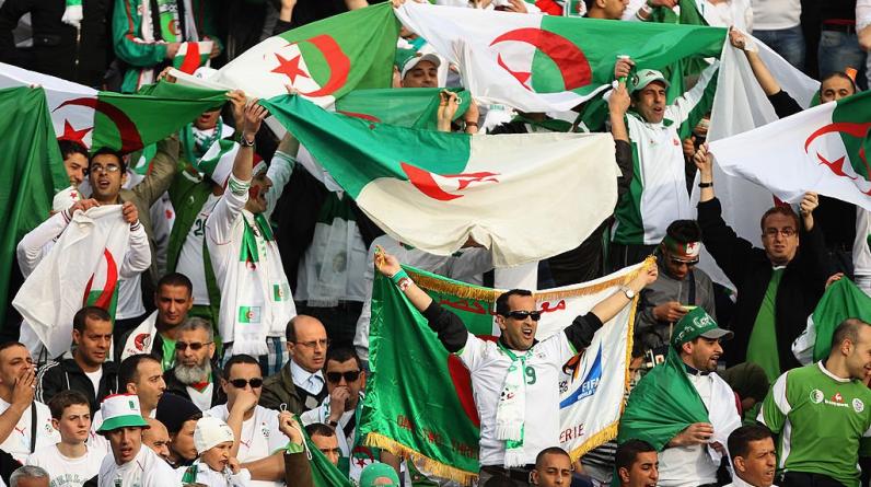 Алжир — Сьерра-Леоне: где смотреть, прогноз, онлайн-трансляция матча Кубка Африки